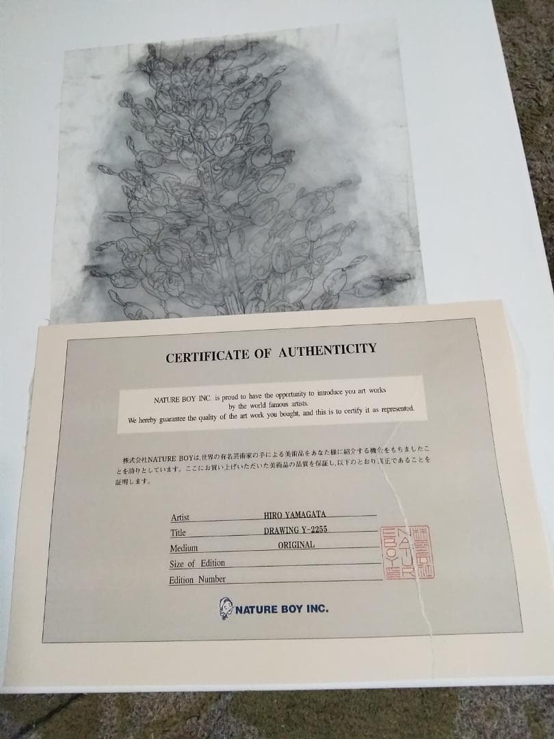 ヒロ・ヤマガタ植物直筆真作鉛筆木炭画ドローイング巨匠証明書あり額無しキャンバス