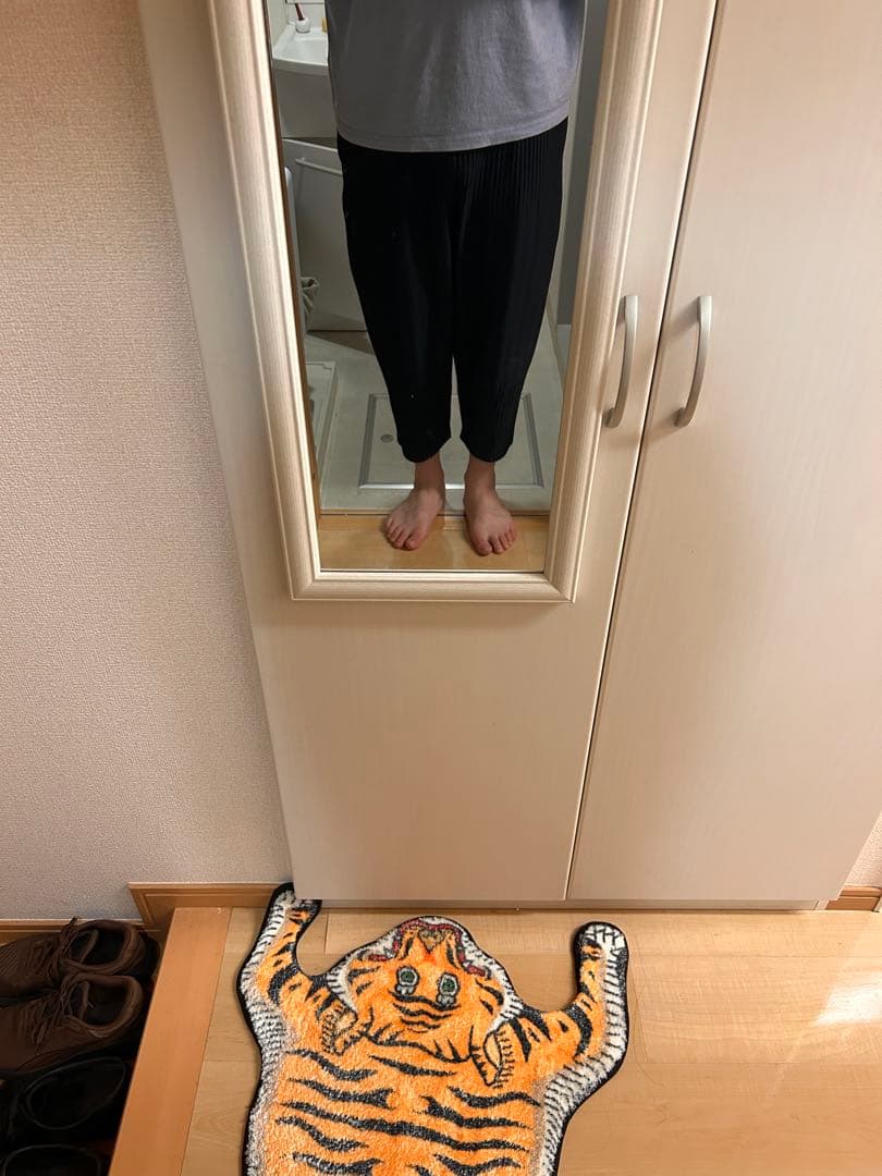 HOMME PLISSE ISSEY MIYAKE 消しプリーツパンツ2