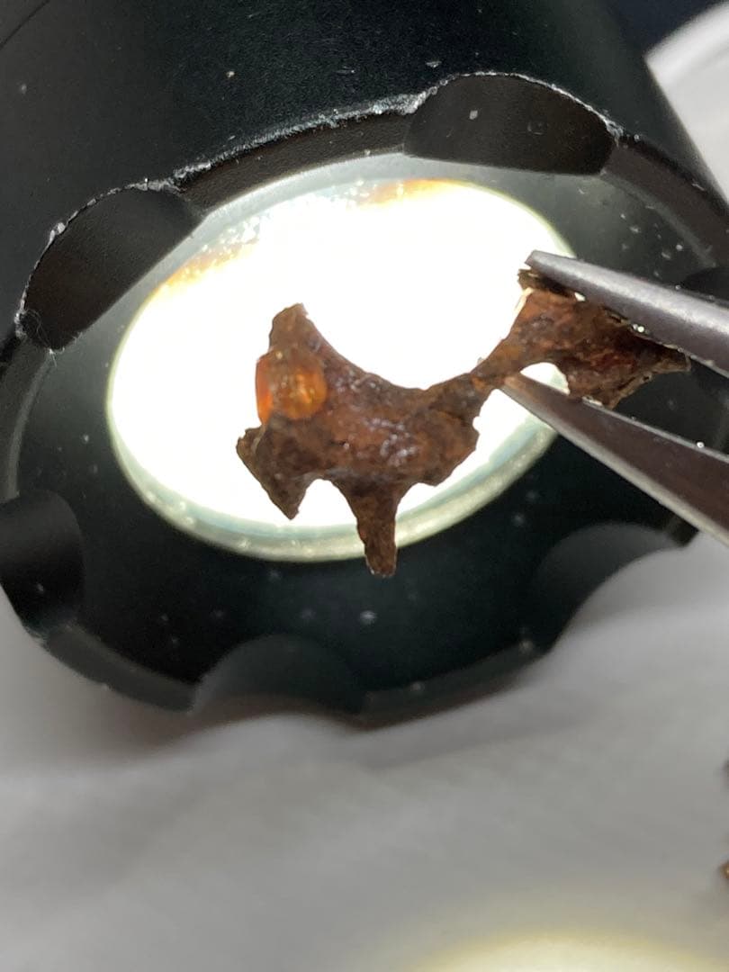 イミラック隕石原石2.81g