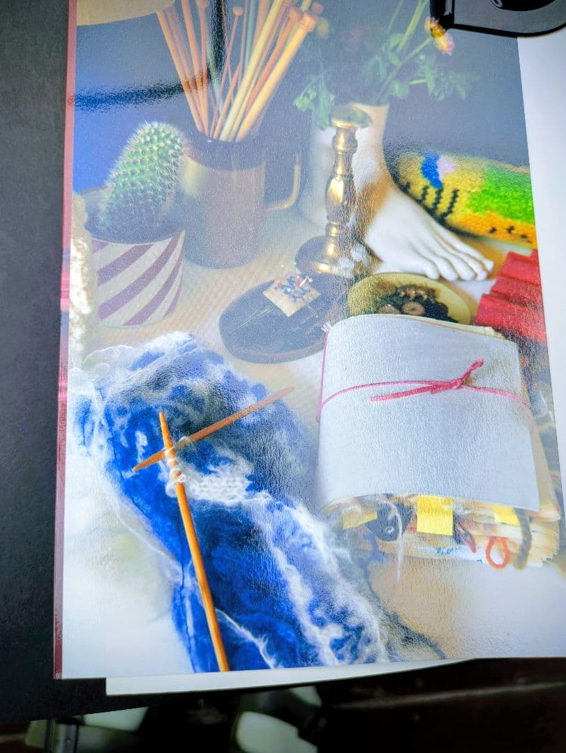 パリジェンヌの編みもの　 食器模様のロピ風セーター 毛糸／書籍セット