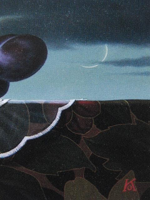 小澤一正、日常の静物ー予兆ー、希少な画集より、新品高級額・額装付