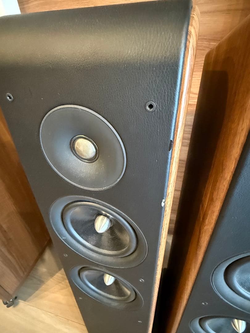 【メルカワ様限定】audiopro AVANTO FS-20（ペア）