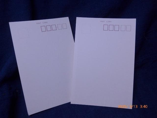 12/13〜14は対応・返信不可　貴重イリナ・イオネスコの絵葉書５点ほか