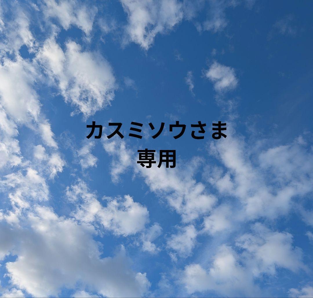 カスミソウさま専用