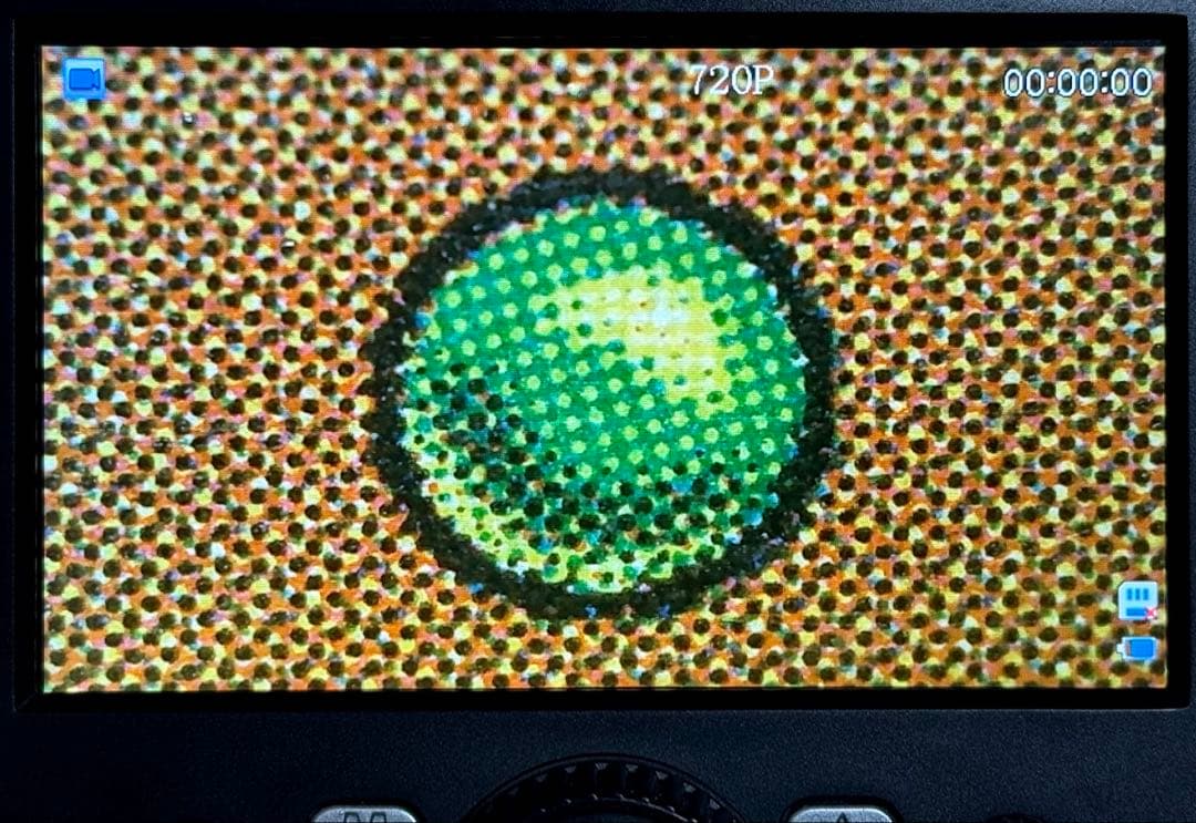 MTG ガイアの揺籃の地 SP-程度 [USG]