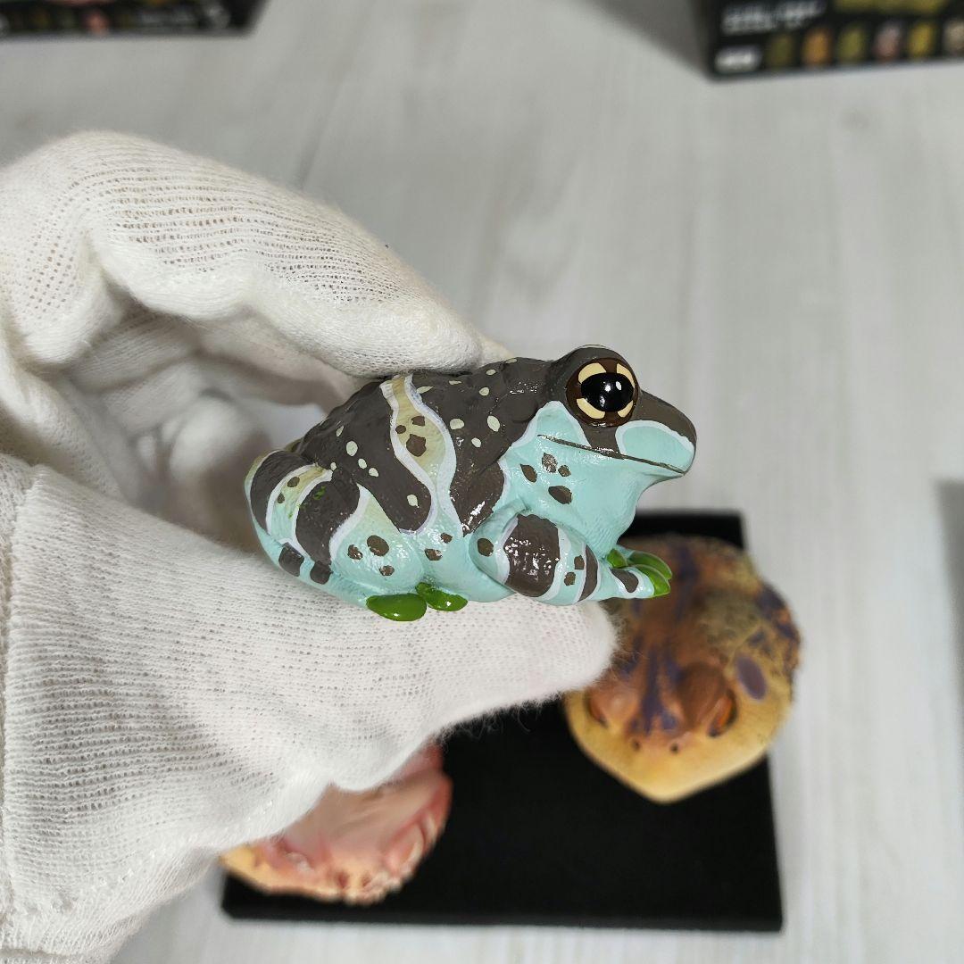 【動物の惑星】スーパーレア!韓国限定リリー&150体限定カエル!! フィギュア