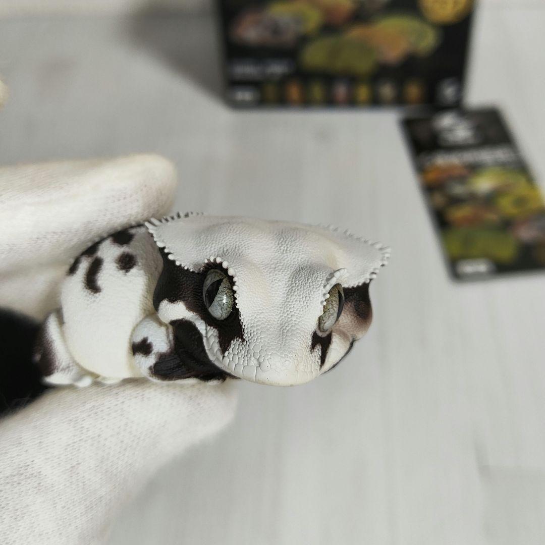 【動物の惑星】スーパーレア!韓国限定リリー&150体限定カエル!! フィギュア