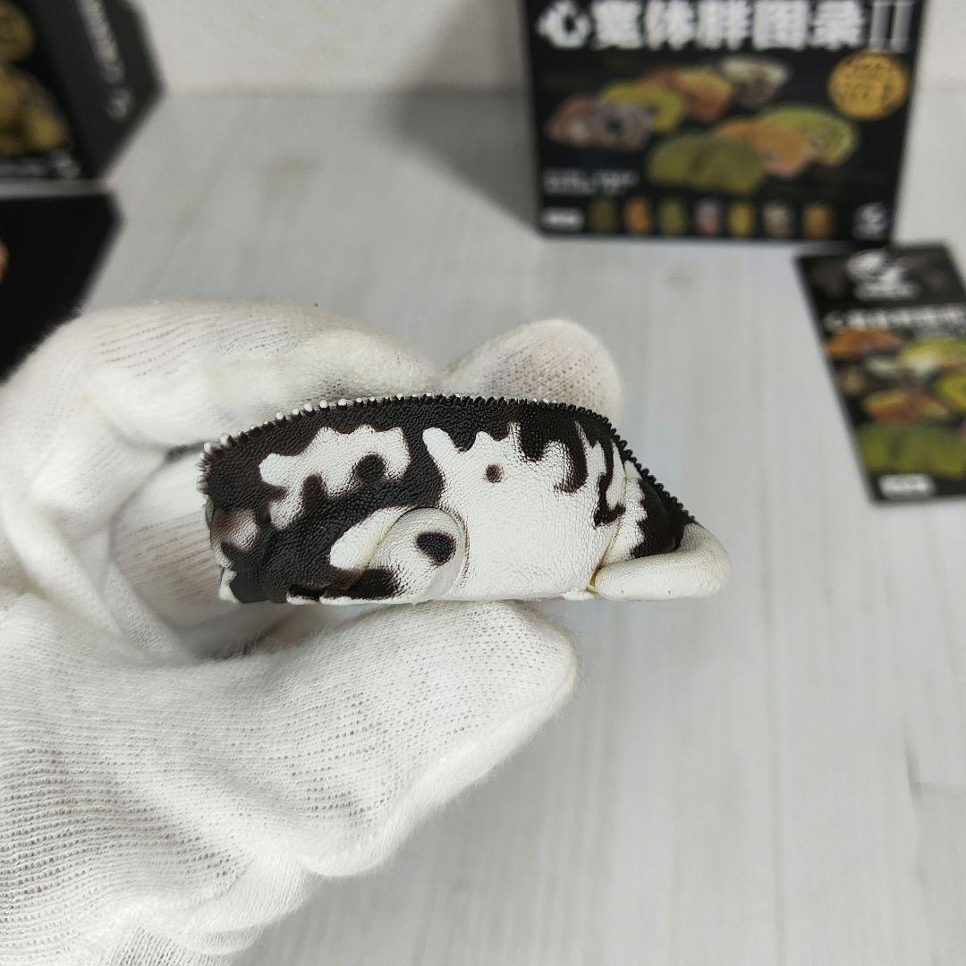 【動物の惑星】スーパーレア!韓国限定リリー&150体限定カエル!! フィギュア