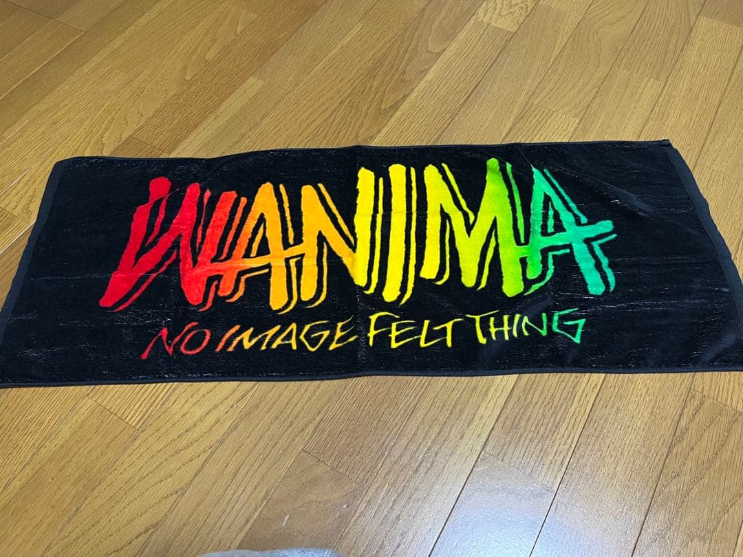 ミュージシャン WANIMA LIVE SET