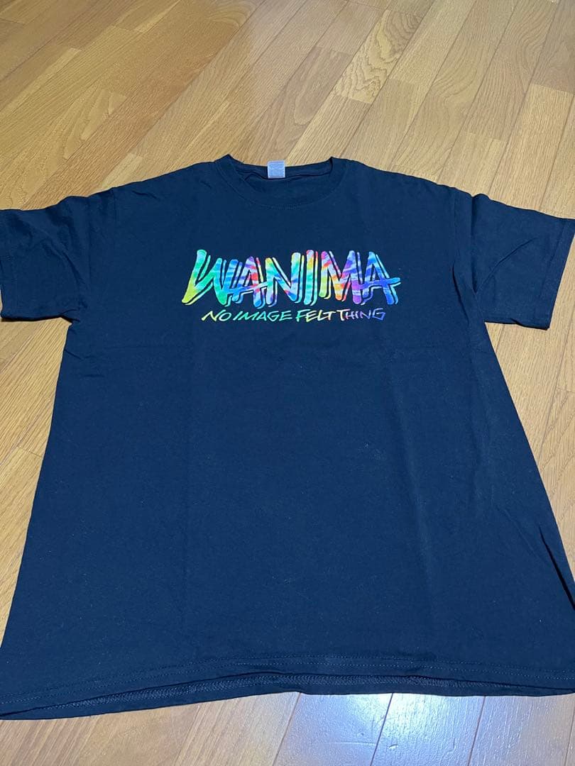 ミュージシャン WANIMA LIVE SET