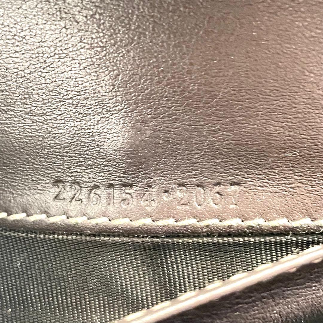 GUCCI GGキャンバス　グッチョリ　チワワ　Wホック　長財布　1010-①