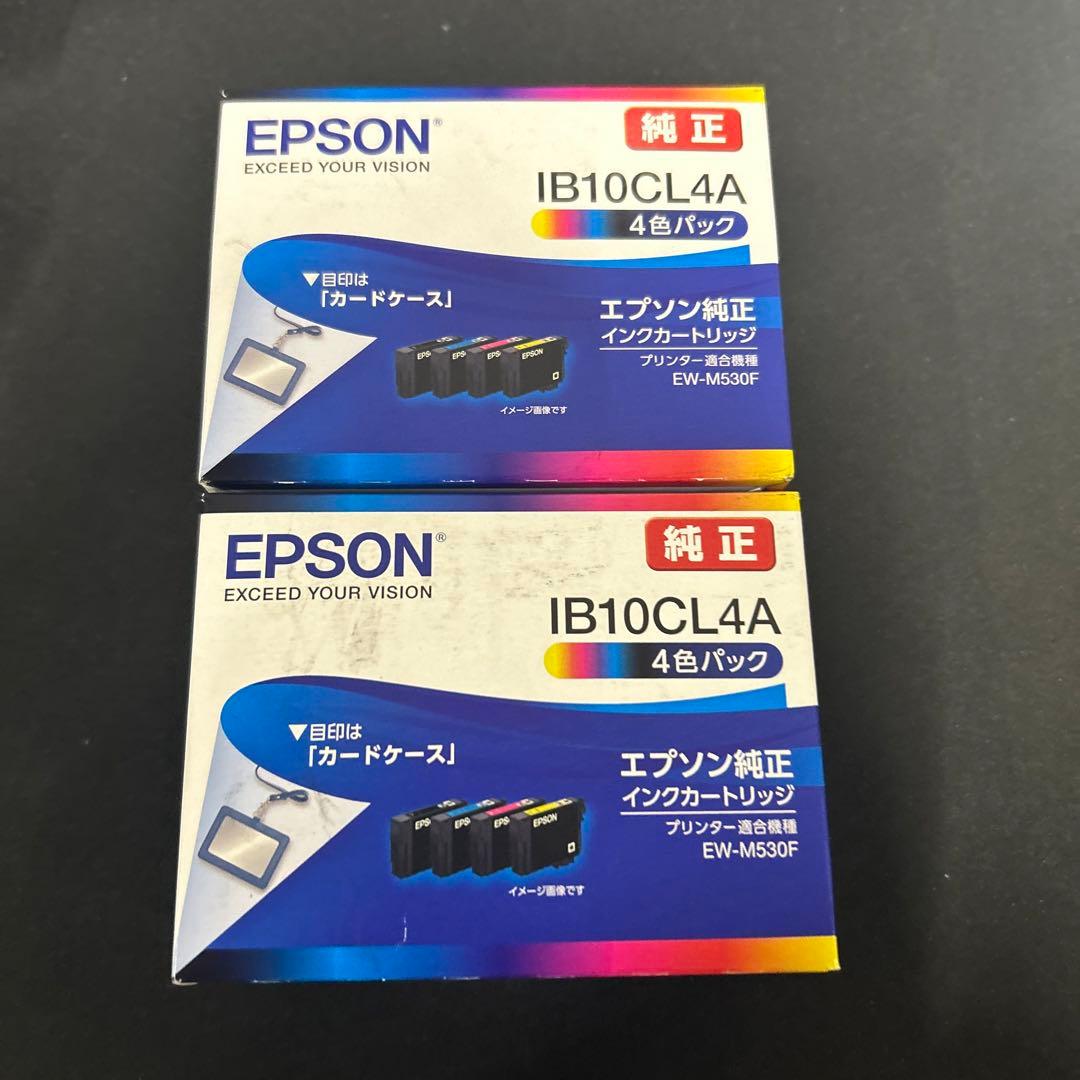 エプソン 純正 インクカートリッジ カードケース IB10CL4A