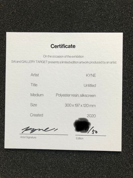 【kyne激レア立体作品】KYNE Untitled SAI シルクスクリーン
