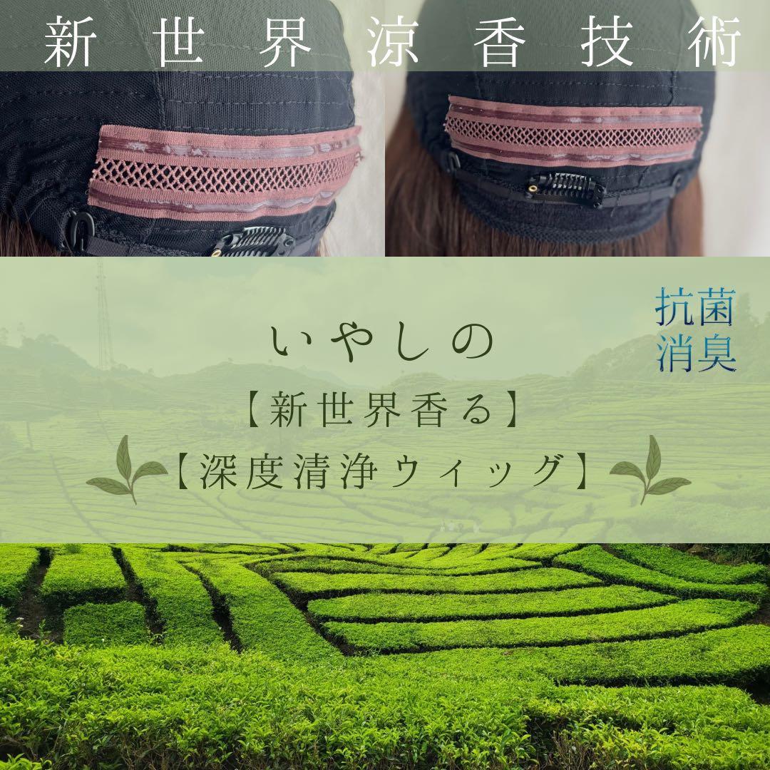 2025新世界　人毛100%　ウィッグ　フルウィッグ　ブラック　医療ウィッグ