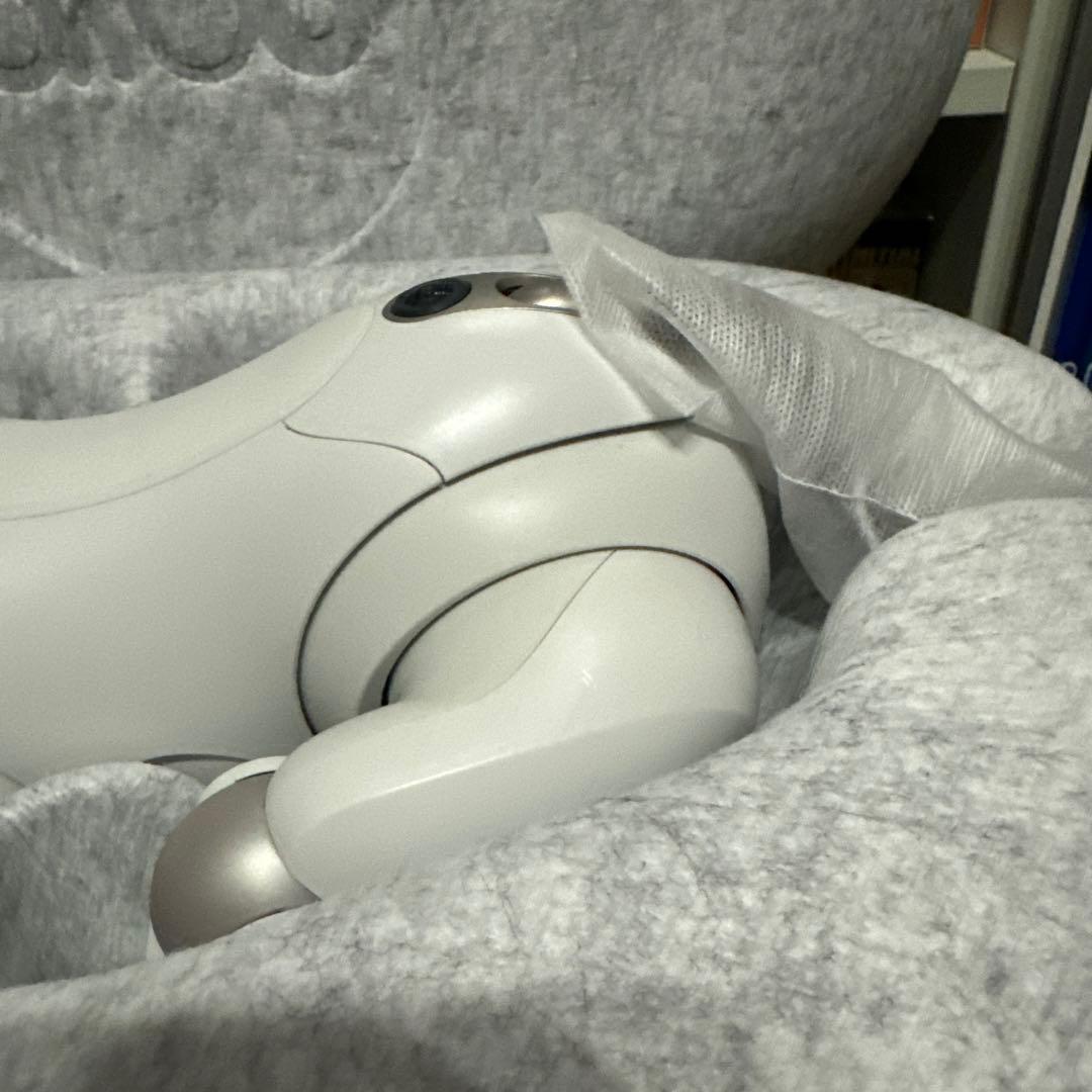 【本日1/19のみ！値引交渉承ります！！】SONY aibo ERS-1000
