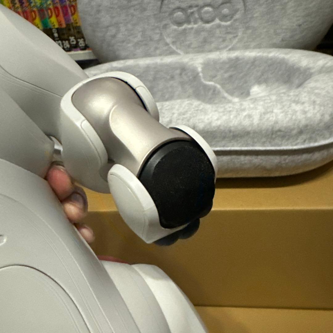 【本日1/19のみ！値引交渉承ります！！】SONY aibo ERS-1000