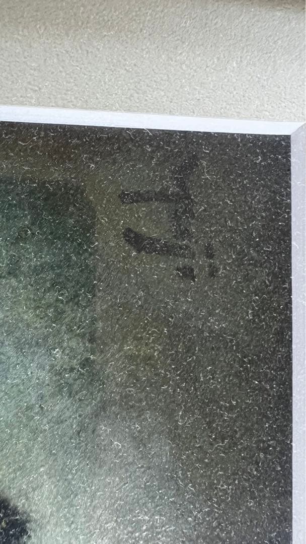 Yuji Ashik… の描いた猫　BARで飲む猫(人)