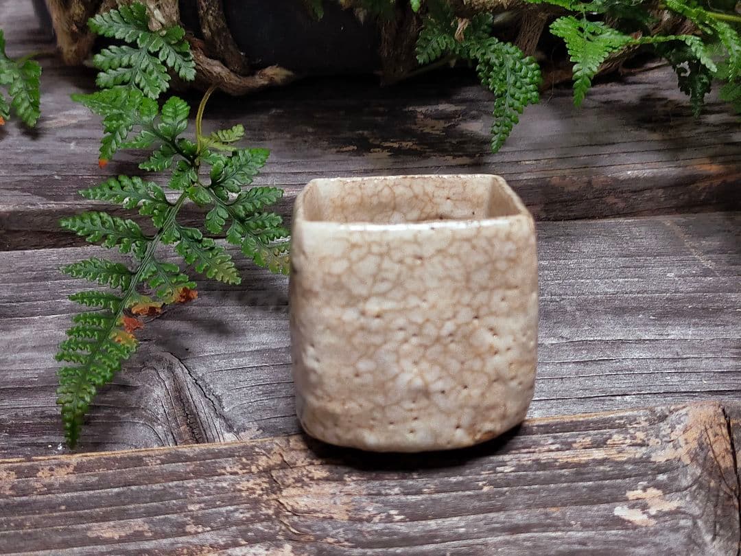 ♥絵志野　ぐい呑み　桐箱付き　⑲　志野　ぐい飲み　骨董品