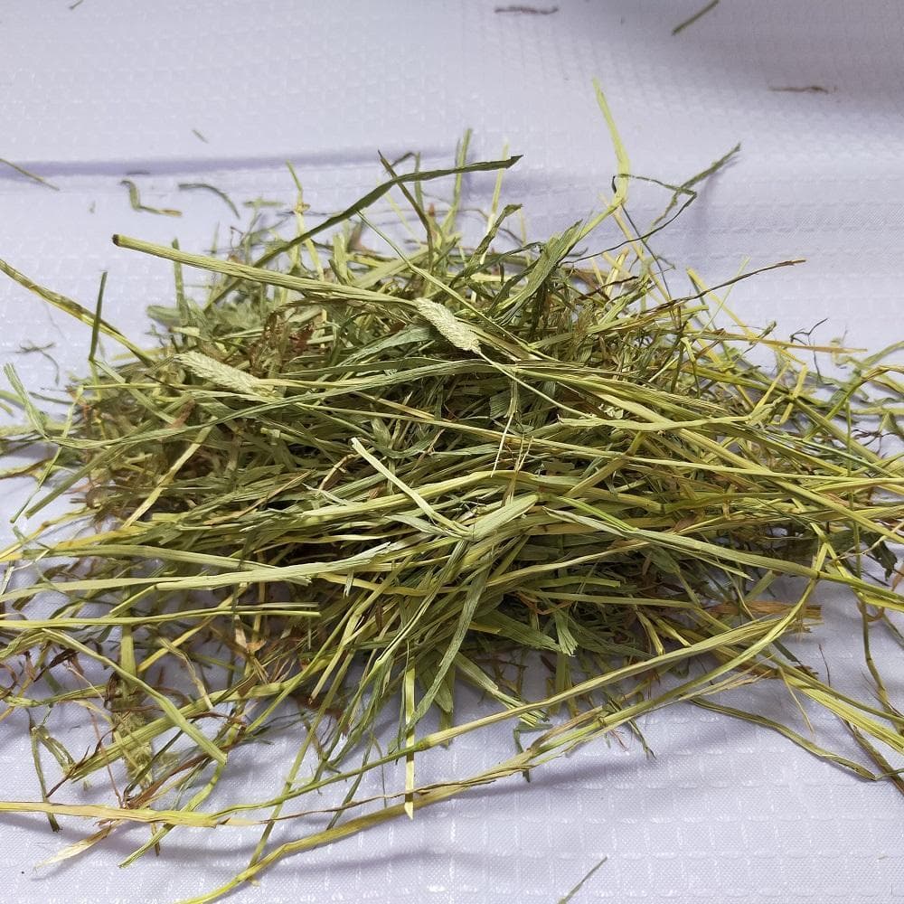 【12/30まで】US産 チモシー 60kg ２番刈り ソフトSプレミアム