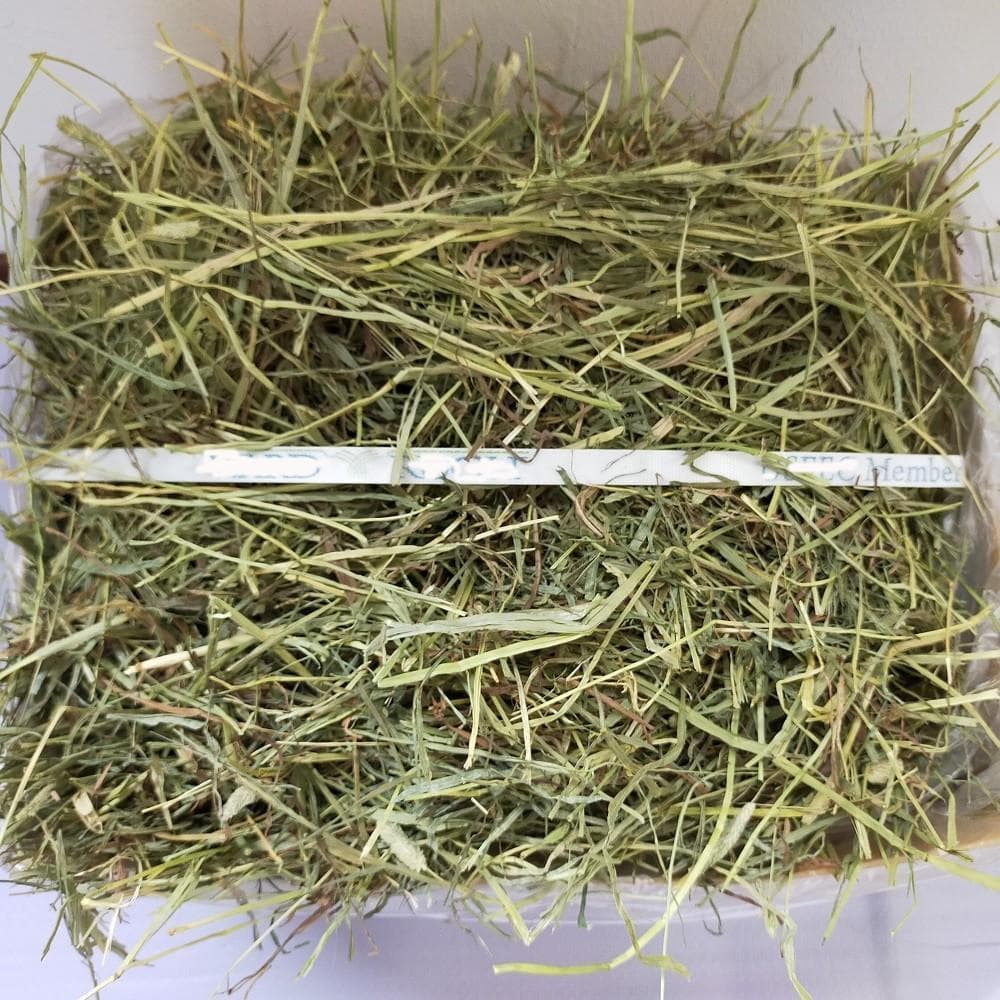 【12/30まで】US産 チモシー 60kg ２番刈り ソフトSプレミアム