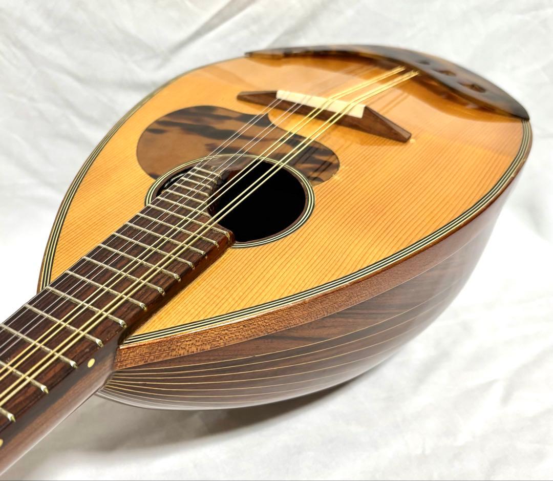 Raffaele Calace マンドリン TYPE 24 1990年製