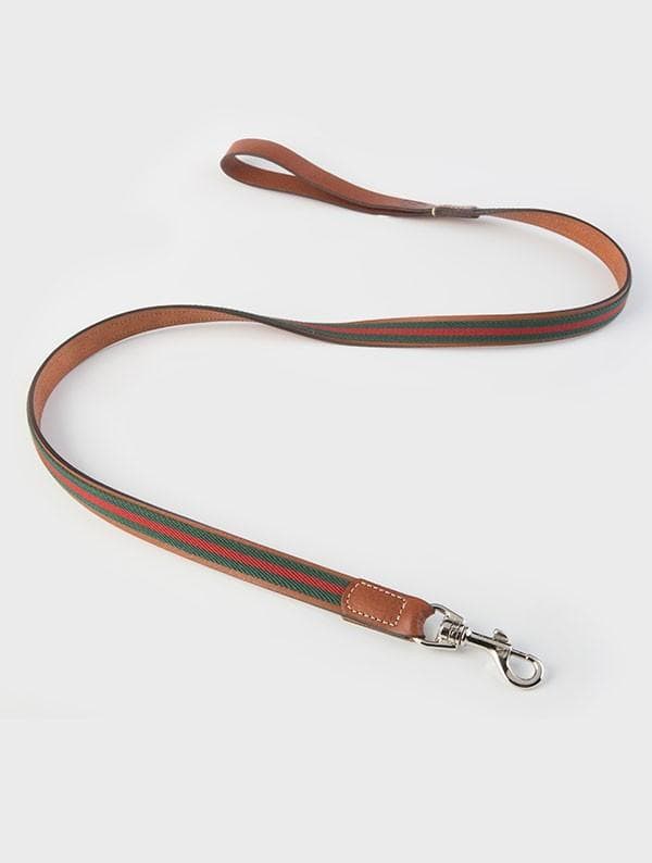 Baseball Green 高級犬用リードと首輪セット（小型犬　中型犬）