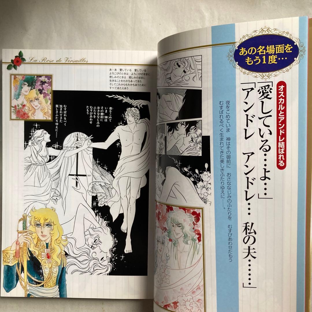 「ベルサイユのばら」その謎と真実　永久保存版　　2003年　匿名配送