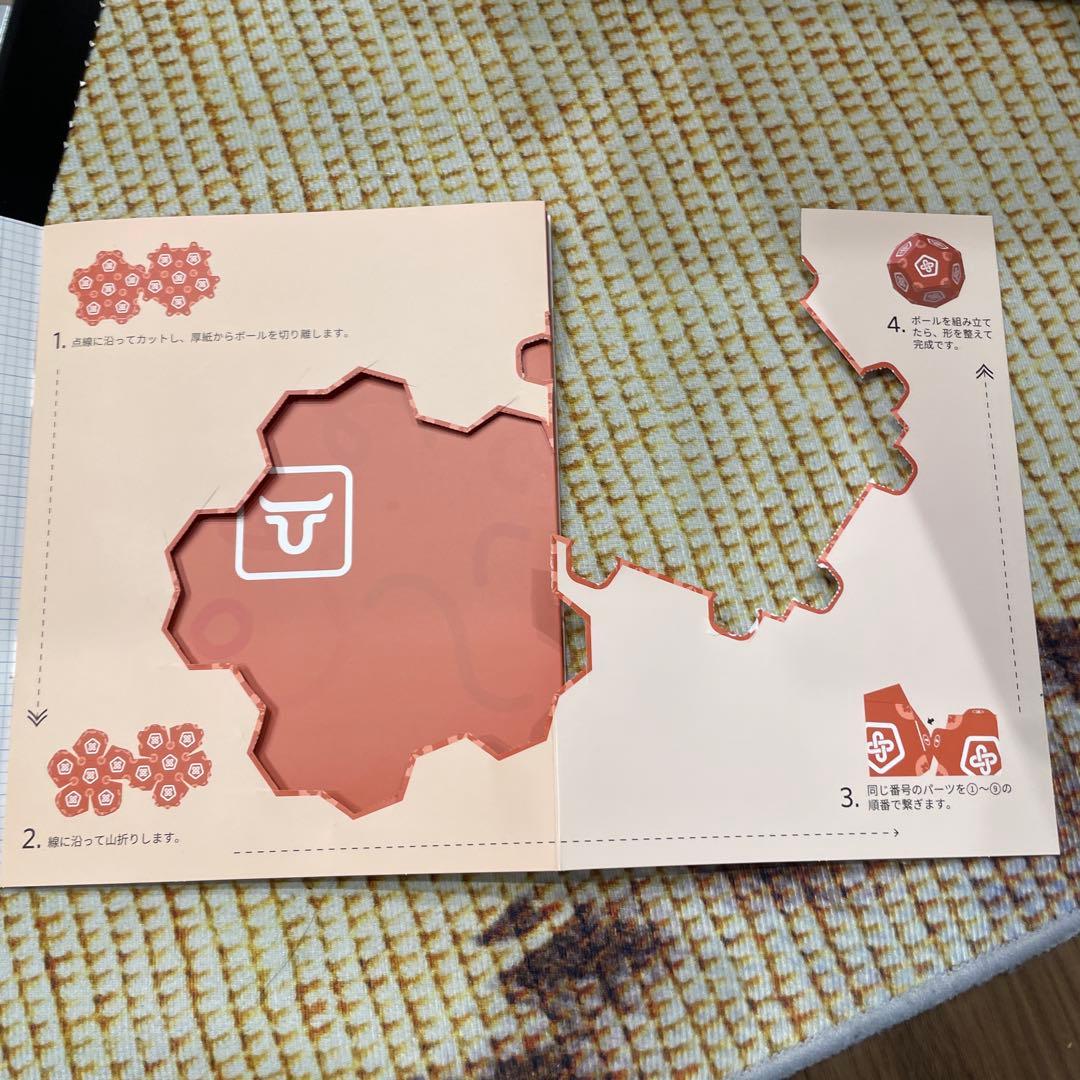 タンタン Loona（ルーナ）【ペットロボットコミュニケーションロボット】