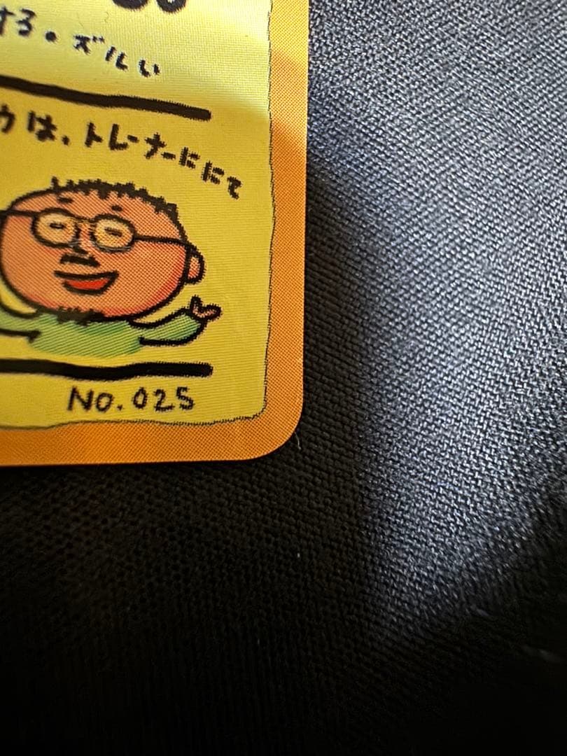 オーヤマのピカチュウ