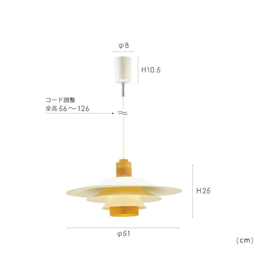Antrim アントリム ペンダントライト　黒