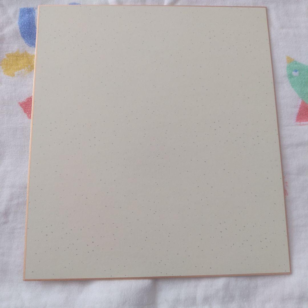 元F1ドライバー　　フェリペ・マッサ選手　直筆サイン色紙