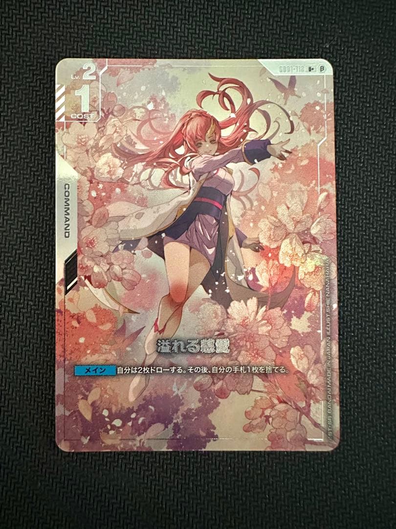 溢れる慈愛　β版　パラレル