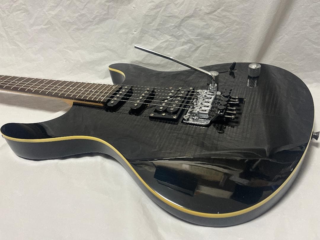 s*n様 Washburn RX25 虎目　シースルーブラック　Floyd Ro