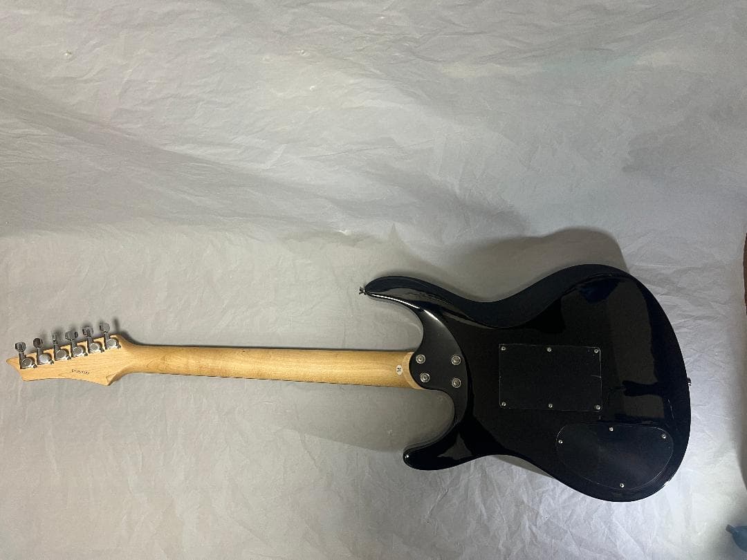 s*n様 Washburn RX25 虎目　シースルーブラック　Floyd Ro