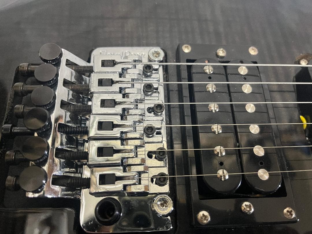 s*n様 Washburn RX25 虎目　シースルーブラック　Floyd Ro