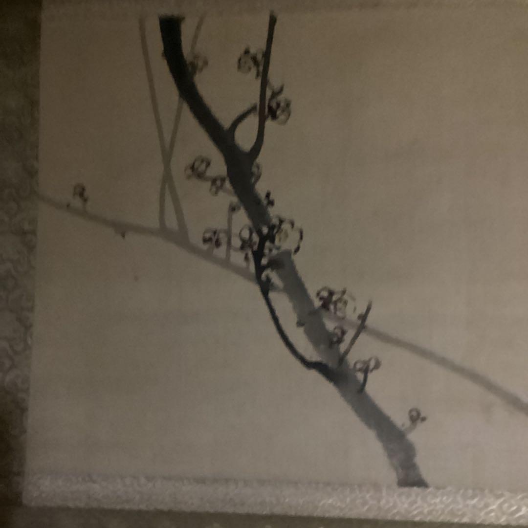 O-20 梅　掛軸　吉祥　縁起物