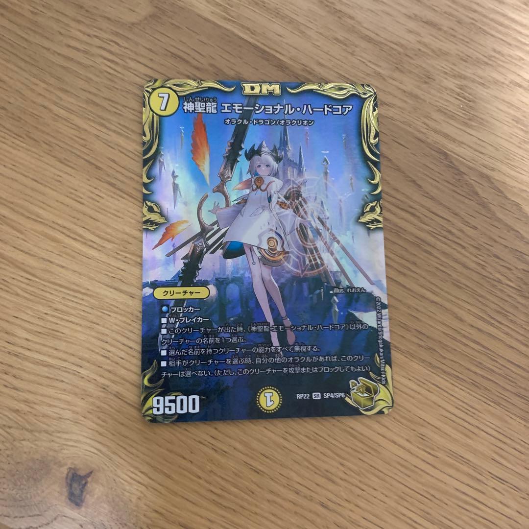 神聖龍　エモーショナル・ハードコア　金