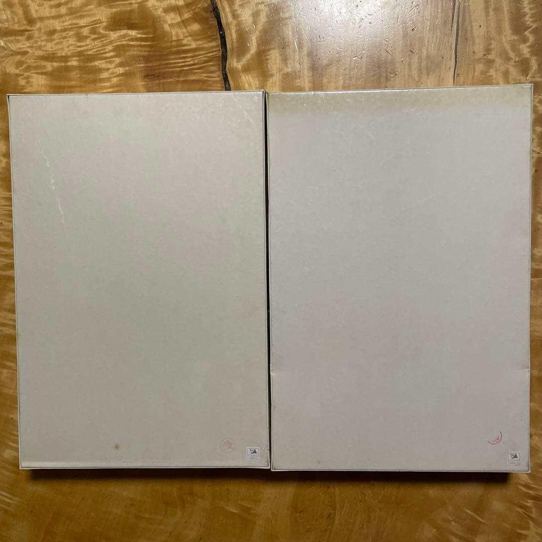 サンバード　ジグソーパズル　T.P.スピヤー　未開封　1000ピース