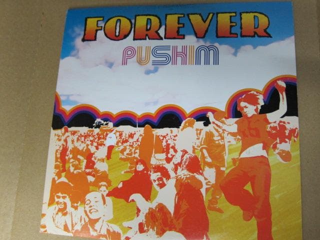 有名ヒット曲 ！10インチ レコード PUSHIM / FOREVER