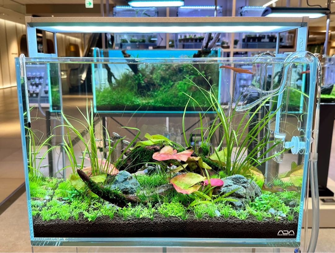 [ADA制作品] ADA アクアリウム 水槽 45cm セット