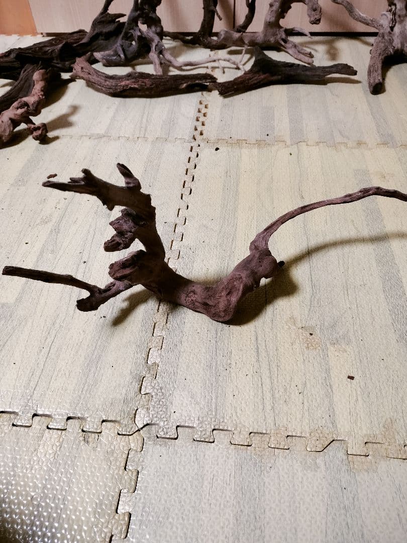 わ*ち様 水槽用流木 複数セット ホーンウッド ブランチウッド