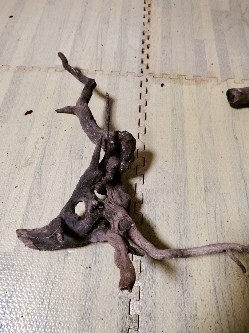 わ*ち様 水槽用流木 複数セット ホーンウッド ブランチウッド