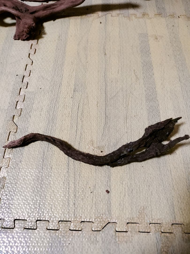 わ*ち様 水槽用流木 複数セット ホーンウッド ブランチウッド