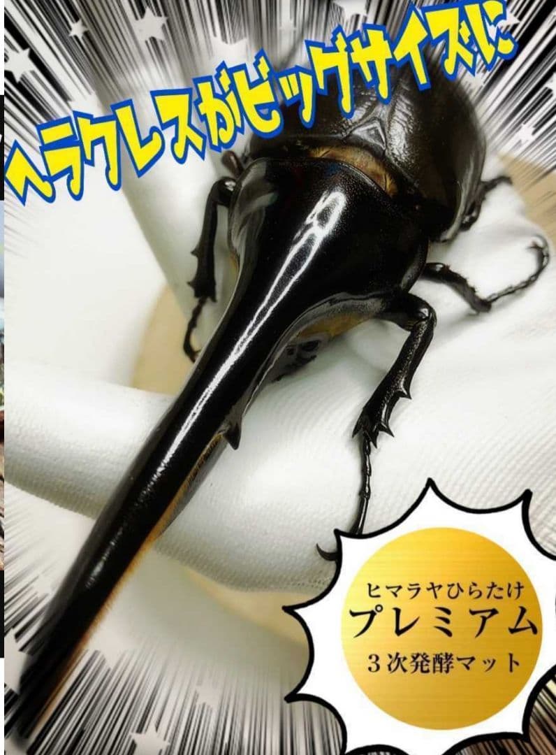 外国産カブトムシ幼虫が大きくなります！プレミアム3次発酵マット(60リットル)