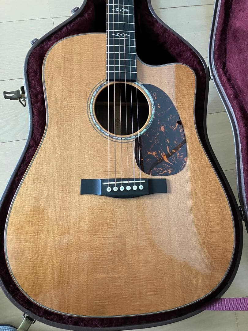 レア/希少　Martin DCPA 1 PLUS マーティン　縦ロゴ