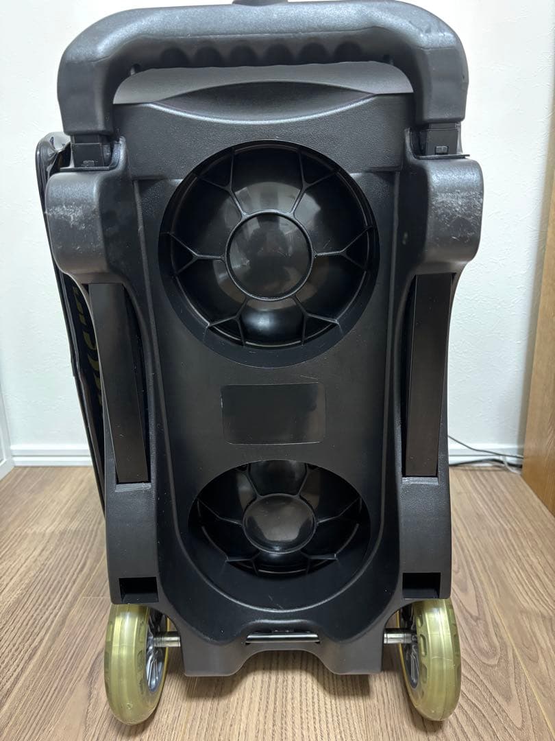 阪神タイガース　Brunswick ボウリングバッグ