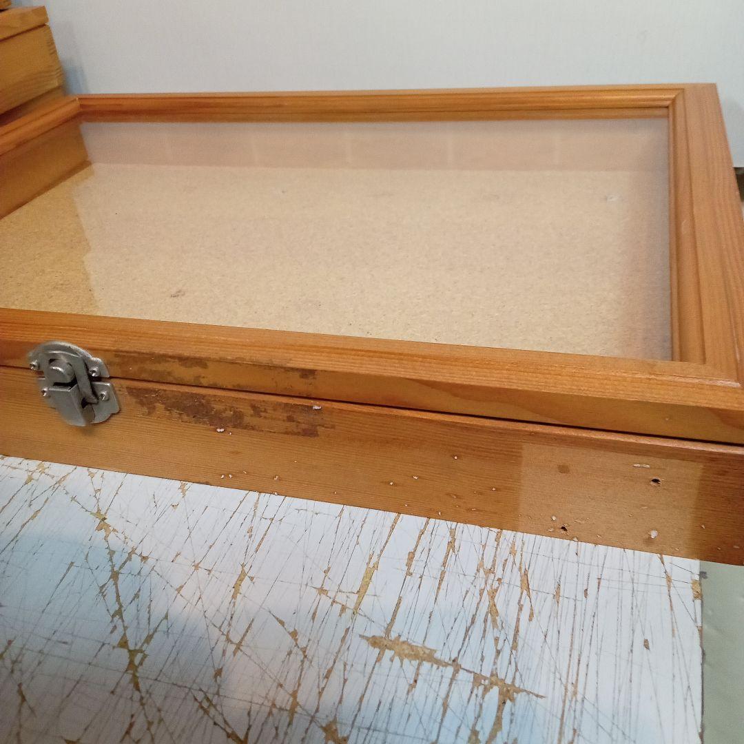 木製昆虫標本箱　５個セット