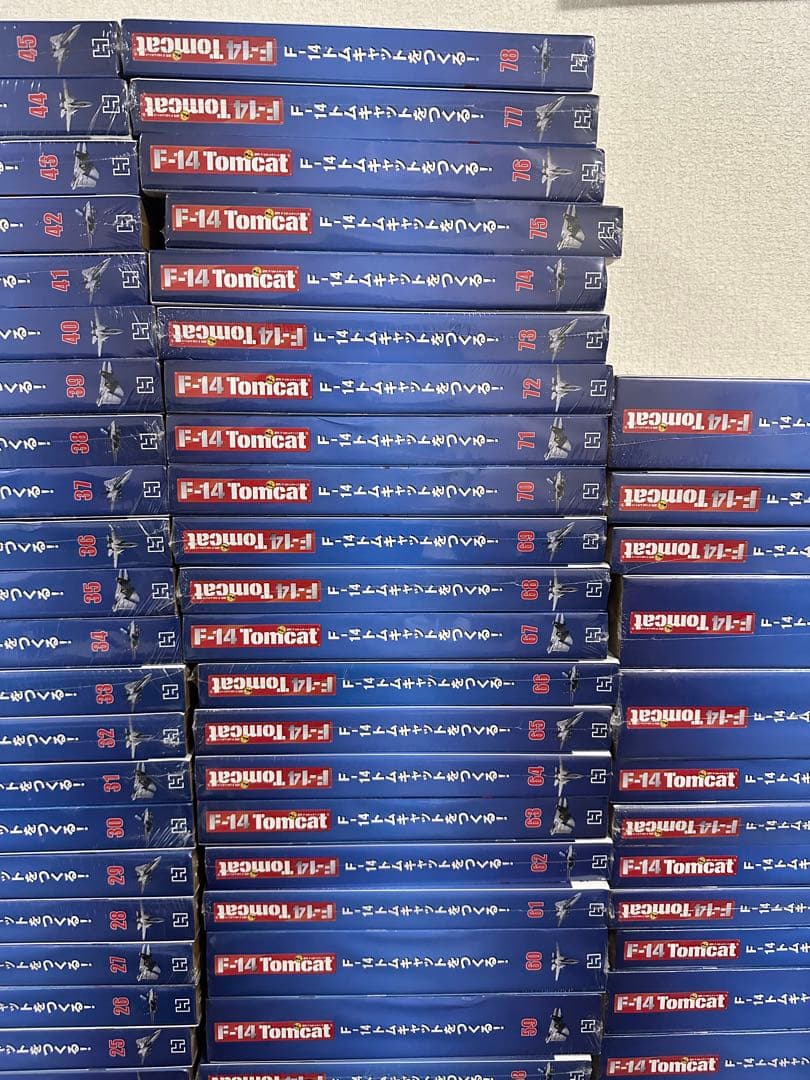 F-14トムキャット