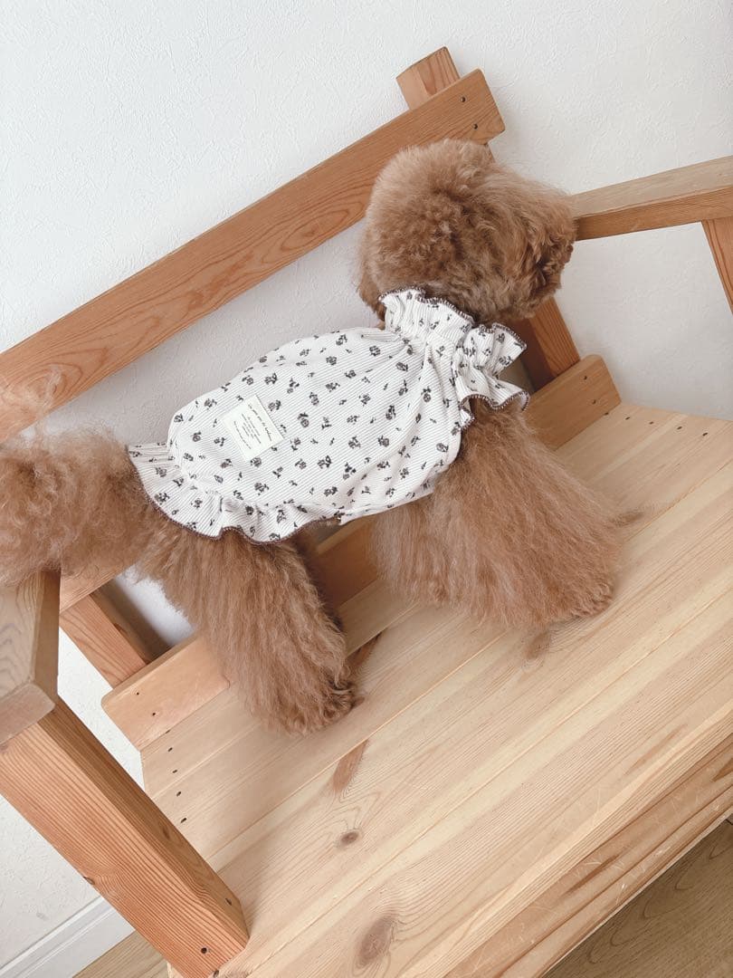 ハンドメイド　小花柄カムソンコーデュロイ　立ち襟バルーンチュニック