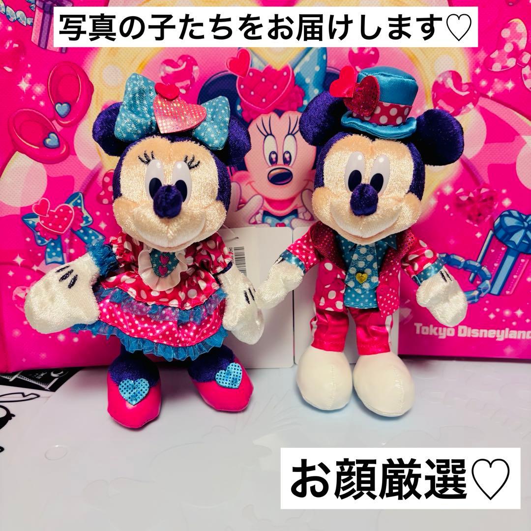 【匿名配送】　パルパルーザ　ぬいぐるみバッジ　ミニーのファンダーランド　2026